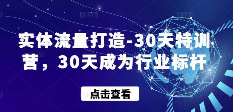 实体流量打造-30天特训营，30天成为行业标杆-掘金啦网创