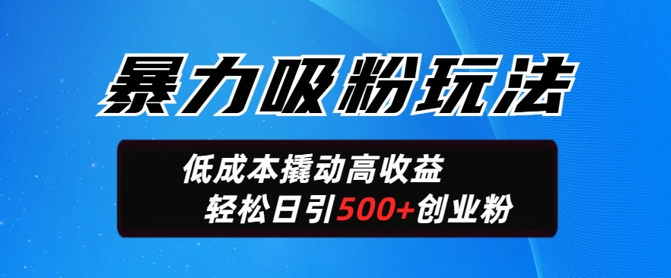 暴力吸粉玩法，日引500+精准创业粉，日变现轻松多张-掘金啦网创