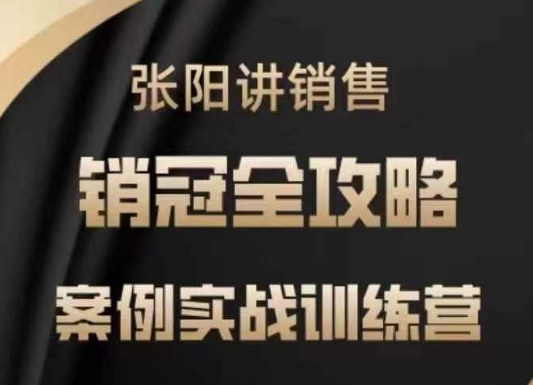 张阳讲销售实战训练营，​案例实战训练，销冠全攻略-掘金啦网创