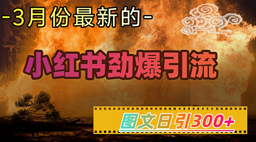 小红书超劲爆引流手段，图文日引300+轻松变现1W-掘金啦网创