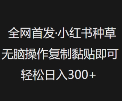 全网首发，小红书种草无脑操作，复制黏贴即可，轻松日入3张-掘金啦网创