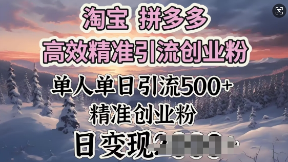 淘宝拼多多高效精准引流创业粉，单人单日引流500+创业粉，日变现多张-掘金啦网创