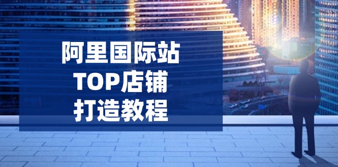 （14269期）阿里国际站TOP店铺打造教程：涵盖平台到高阶，解决运营难题，提升询盘-掘金啦网创