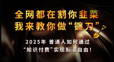 知识付费如何做到月入过W+，2025我来教你做“镰刀”【揭秘】-掘金啦网创
