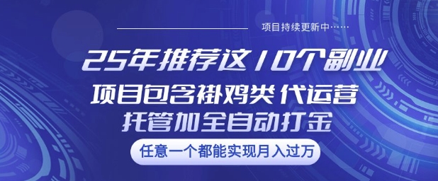 25年推荐这10个副业项目包含褂鸡类、代运营托管类、全自动打金类【揭秘】-掘金啦网创