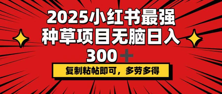 （14375期）2025小红书最强种草项目，无脑日入300+，复制粘帖即可，多劳多得-掘金啦网创