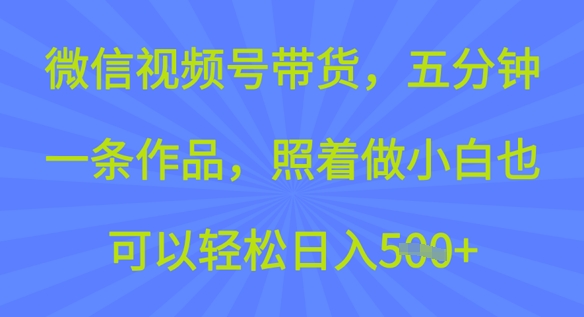 微信视频号带货，五分钟一条作品，照着做小白也可以轻松日入5张-掘金啦网创