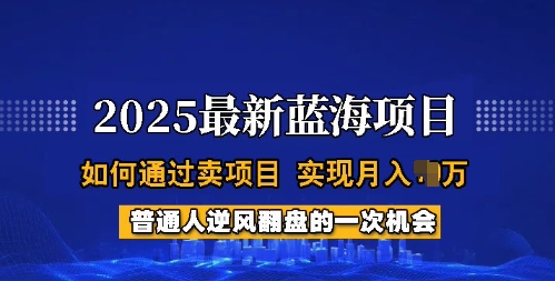 2025蓝海项目，普通人如何通过卖项目，实现月入过W，全过程【揭秘】-掘金啦网创