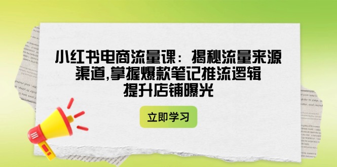 （14318期）小红书电商流量课：揭秘流量来源渠道,掌握爆款笔记推流逻辑,提升店铺曝光-掘金啦网创