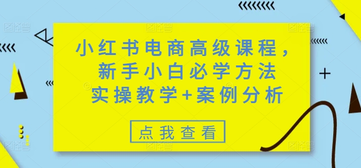 小红书电商高级课程，新手小白必学方法，实操教学+案例分析-掘金啦网创
