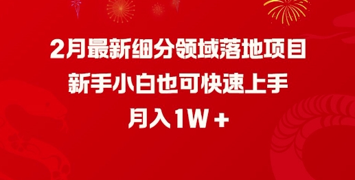 2月最新细分领域落地项目，新手小白也可快速上手，月入1W-掘金啦网创