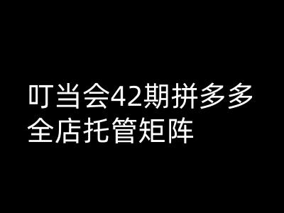 叮当会拼多多打爆班原创高阶技术第42期，拼多多全店托管矩阵-掘金啦网创